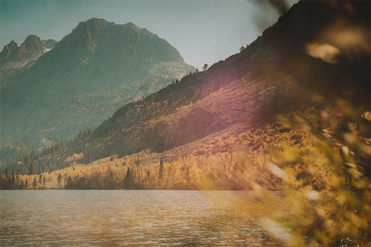 Autumn trees line a mountain lake with rugged peaks rising in the background, Eastern Sierra.