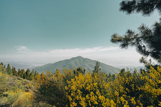 Got 48 hours to spare? Hit up Big Bear! (Summer Edition)