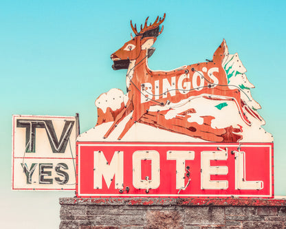 Main image Bingo's Motel