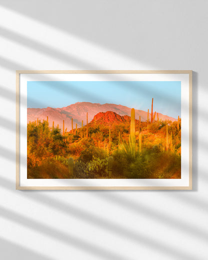 Desert Glow