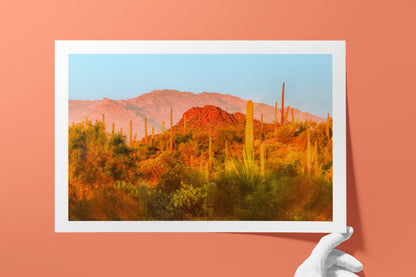Desert Glow