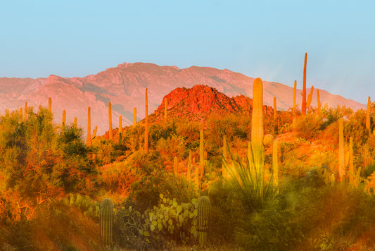 Desert Glow