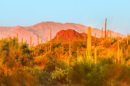 Desert Glow