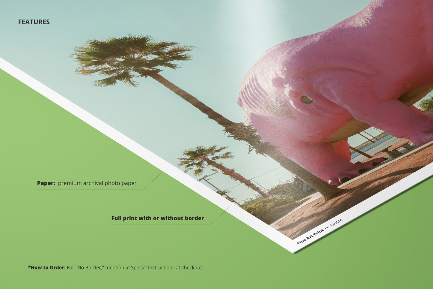 Postcard from Cabazon II