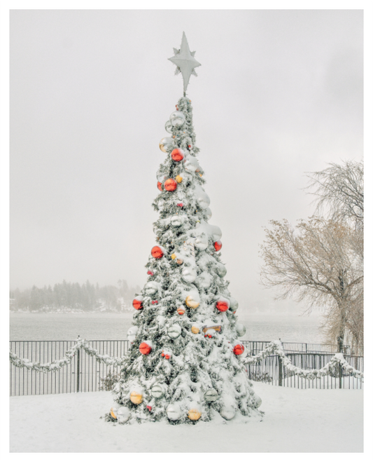 Main image Merry & Bright